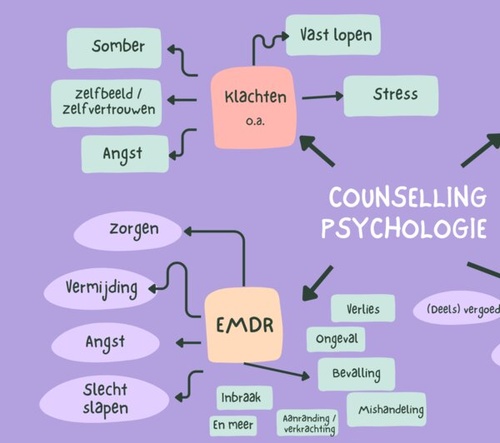 Counsellor Psycholoog in Dronten