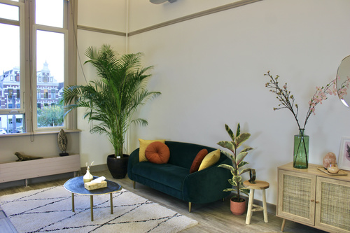 Expat Psychologist in Rotterdam