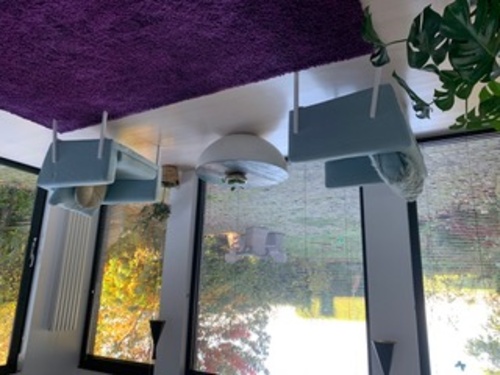 psycho-sociaaltherapeut, registertherapeut BCZ®, EMDRtherapeut, ACTtherapeut, mindfulnesstherapeut, therapeut oplossingsgerichte cognitieve therapie, leraar pedagogiek/​andragogiek en yoga in Maastricht