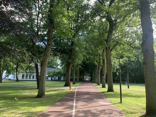 Lichaamsgericht therapeut op basis van de Polyvagaal Theorie en ACT, Traumatherapie en Relatietherapeut in Driebergen Lichaamsgericht therapeut op basis van de Polyvagaal Theorie en ACT, Traumatherapie en Relatietherapeut in Driebergen