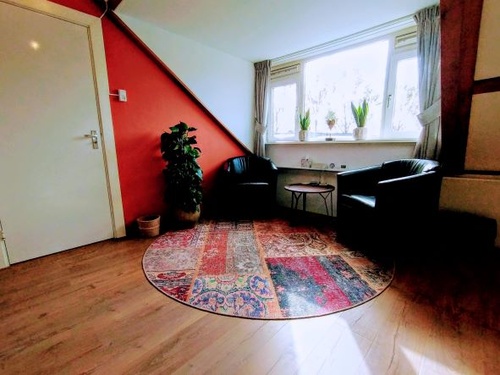 Lichaamsgerichte (trauma)therapeut, EMDR therapeut in Delft