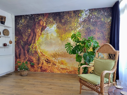 opvoedtherapeut, oudercoach in Delft