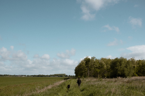Psychosociaal therapeut in Oosterwolde