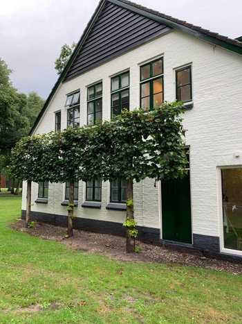 Lichaamsgericht therapeut op basis van de Polyvagaal Theorie en ACT, Traumatherapie en Relatietherapeut in Driebergen Lichaamsgericht therapeut op basis van de Polyvagaal Theorie en ACT, Traumatherapie en Relatietherapeut in Driebergen